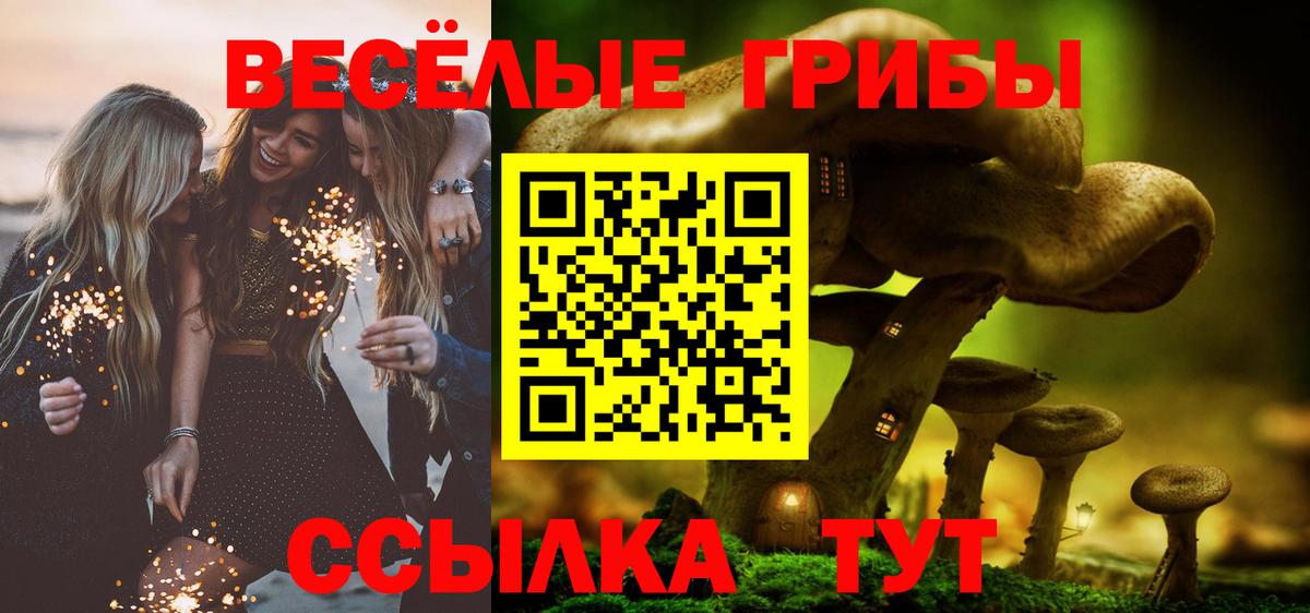 Галлюциногенные грибы мухоморы Вязьма
