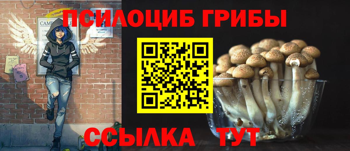 Вязьма  Псилоцибиновые грибы мицелий  Вход с VPN 