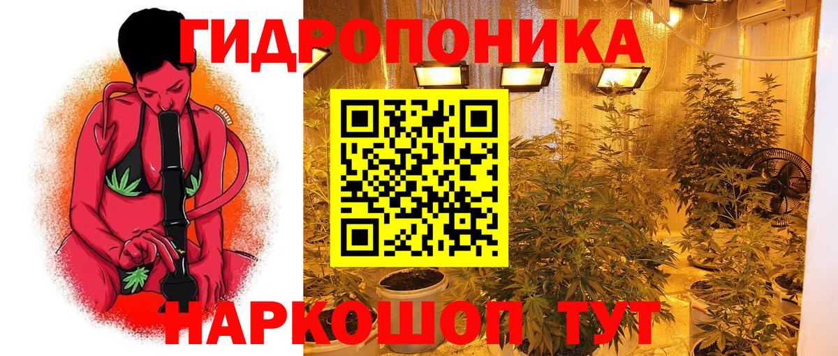 Конопля ГИДРОПОН Вязьма